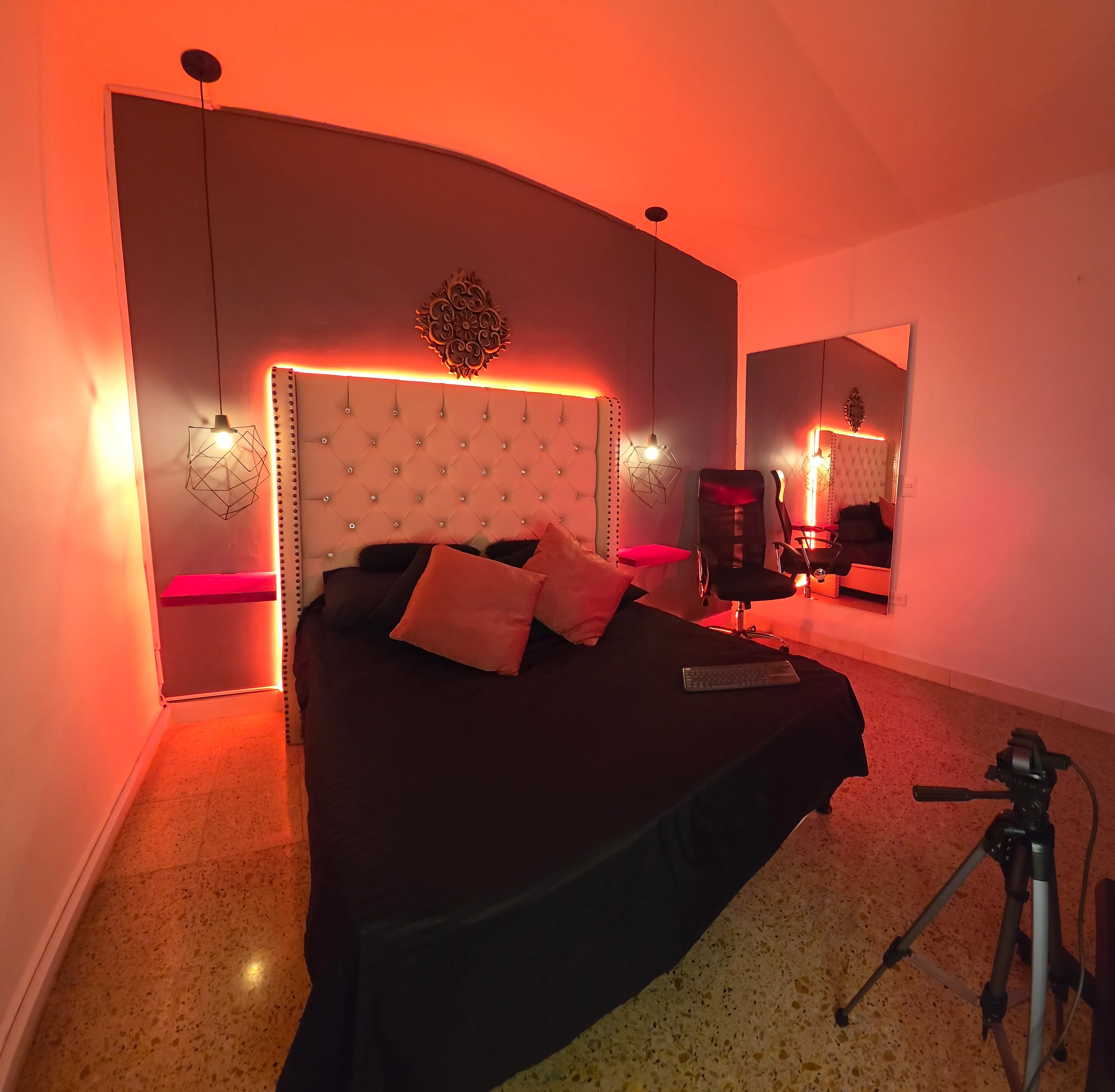 Escenario de estudio Mosaico 6